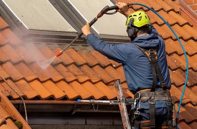 Démoussage et hydrofuge de toiture à Ibarrolle
